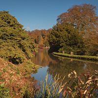 Buy canvas prints of Stourhead Gardens Wiltshire by Paul Brewer