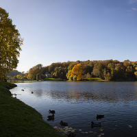 Buy canvas prints of Stourhead in Wiltshire in Autumn by Paul Brewer