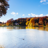 Buy canvas prints of Stourhead Wiltshire on a sunny autumn day by Paul Brewer