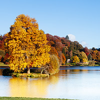 Buy canvas prints of Stourhead Trees in Wiltshire by Paul Brewer