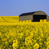 Buy canvas prints of Dutch Barn Sixpenny Handley by Paul Brewer
