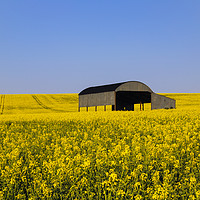 Buy canvas prints of Dutch Barn Sixpenny Handley by Paul Brewer