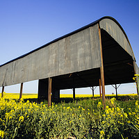 Buy canvas prints of Dutch Barn Sixpenny Handley by Paul Brewer