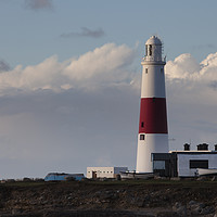 Buy canvas prints of Portland Bill Lighthouse in Winter at Sunrise by Paul Brewer