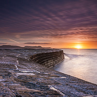 Buy canvas prints of The Cobb Lyme Regis Sunrise by Paul Brewer