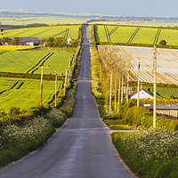 Buy canvas prints of Rural Road by Paul Brewer
