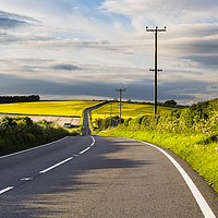Buy canvas prints of Rural Dorset Road by Paul Brewer