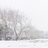 Buy canvas prints of Weymouth Dorset Covered in Snow by Paul Brewer