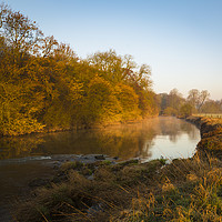 Buy canvas prints of River Stour in Winter by Paul Brewer