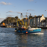 Buy canvas prints of Trawler Fishing Boat in Weymouth Harbour by Paul Brewer