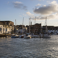 Buy canvas prints of Weymouth Harbour Dorset by Paul Brewer