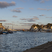 Buy canvas prints of Weymouth Harbour Dorset by Paul Brewer