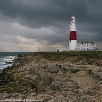 Buy canvas prints of Portland Bill Lighthouse  by Paul Brewer