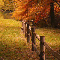 Buy canvas prints of Autumn Fence by Paul Brewer