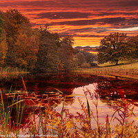 Buy canvas prints of Autumn Colours by Paul Brewer