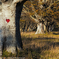 Buy canvas prints of Love Heart by Paul Brewer