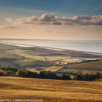 Buy canvas prints of Abbotsbury Hill by Paul Brewer