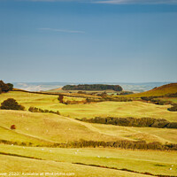 Buy canvas prints of Fields of Dorset by Paul Brewer
