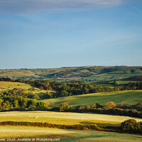 Buy canvas prints of Dorset fields after Sunrise by Paul Brewer