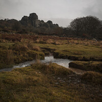 Buy canvas prints of Vixon Tor Dartmoor by Paul Brewer