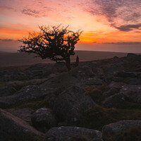 Buy canvas prints of Dartmoor Sunset  by Paul Brewer