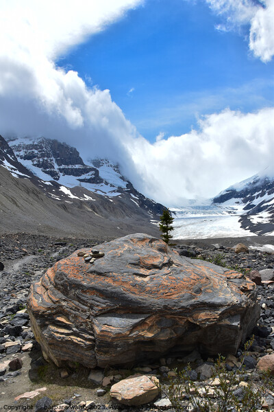 Columbia Icefield Picture Board by barbara walsh