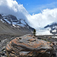 Buy canvas prints of Columbia Icefield by barbara walsh