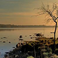 Buy canvas prints of Morning at the Lake by barbara walsh