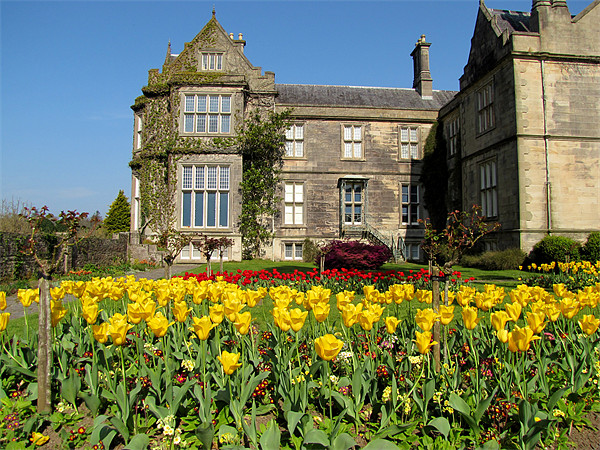 Muckross House Picture Board by barbara walsh