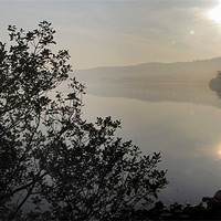 Buy canvas prints of Morning at the Lake by barbara walsh