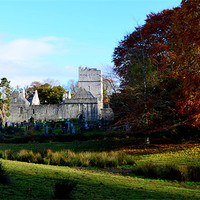 Buy canvas prints of Muckross Abbey by barbara walsh
