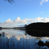 Buy canvas prints of Muckross Lake by barbara walsh