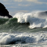 Buy canvas prints of Swell coming in to Clogher beach by barbara walsh