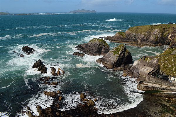View from Dunquin Pier Picture Board by barbara walsh