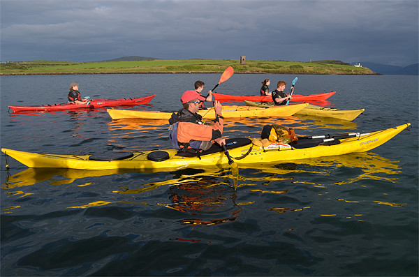 Kayaks in Dingle Bay Picture Board by barbara walsh
