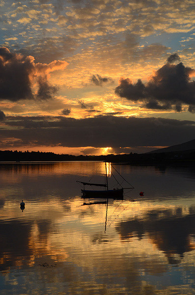 Sunset in Dingle Picture Board by barbara walsh