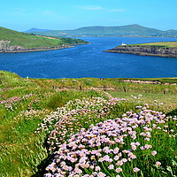 Buy canvas prints of View over to Dingle by barbara walsh