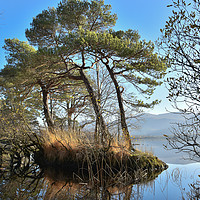 Buy canvas prints of Lough Leane by barbara walsh