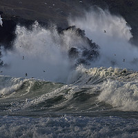 Buy canvas prints of Storm at Clogher by barbara walsh