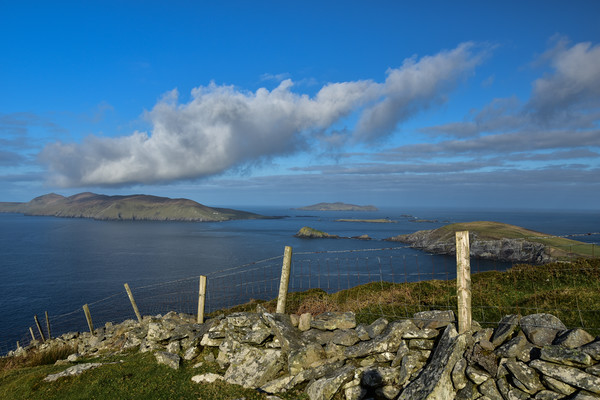 Views over to the Blasket Islands Picture Board by barbara walsh