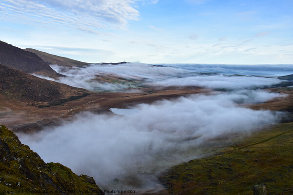 Foggy morning at the Conor Pass, Dingle Peninsula Picture Board by barbara walsh