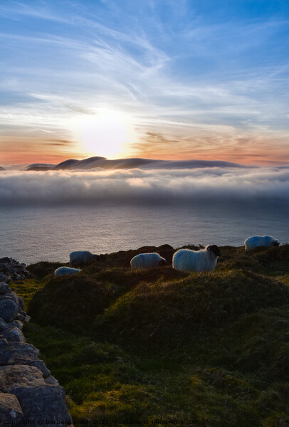 Sunset Dunquin Picture Board by barbara walsh