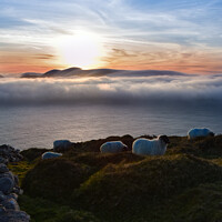 Buy canvas prints of Sunset Dunquin by barbara walsh