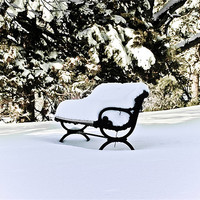 Buy canvas prints of Snow Covered Bench ...misc by Elaine Manley