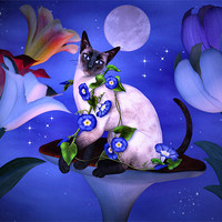 Buy canvas prints of Siamese Moonlight by Elaine Manley