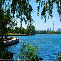 Buy canvas prints of Ashbridges Bay ,Toronto skyline by Elaine Manley