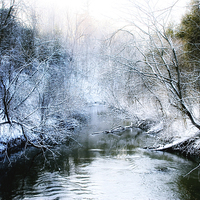 Buy canvas prints of Winter Blue by Elaine Manley