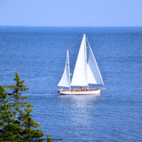 Buy canvas prints of Sailboat on Ocean by Elaine Manley
