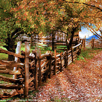 Buy canvas prints of Autumn Walkway by Elaine Manley