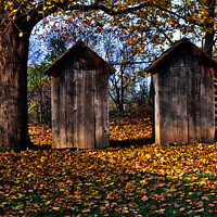 Buy canvas prints of  misc   Ladies and Gents ..Outdoor Loo by Elaine Manley